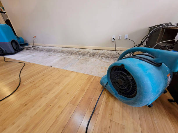 Professional Flood Damage Cleanup technician working in Riverside, MO